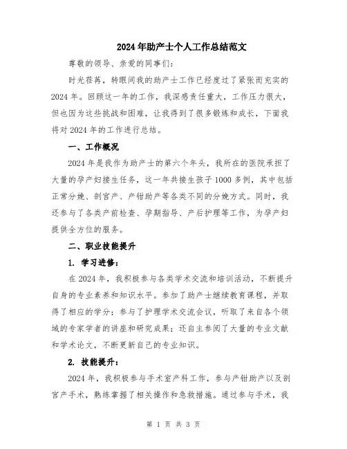 2024年助产士个人工作总结范文