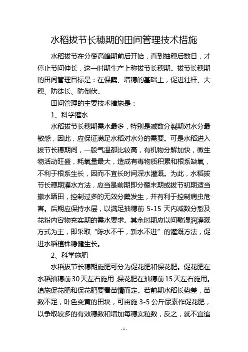 水稻拔节长穗期的田间管理技术措施