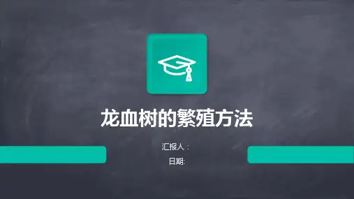 龙血树的繁殖方法