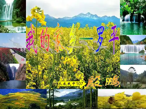 魅力罗平