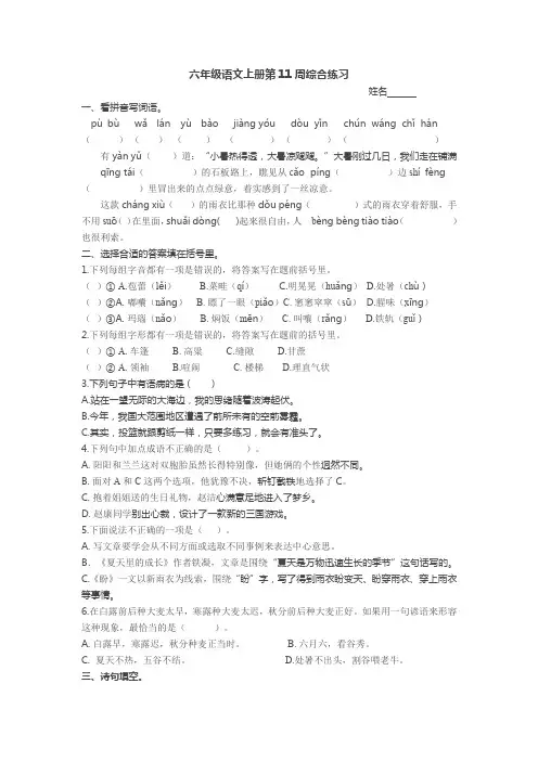 (部编版)六年级语文上册第11周综合练习