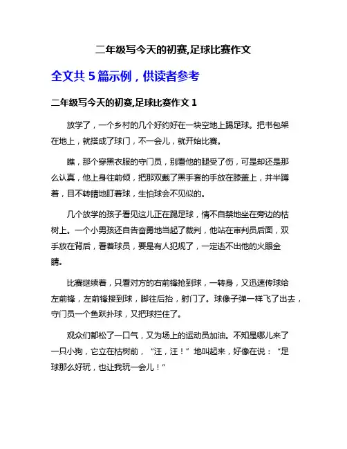 二年级写今天的初赛,足球比赛作文