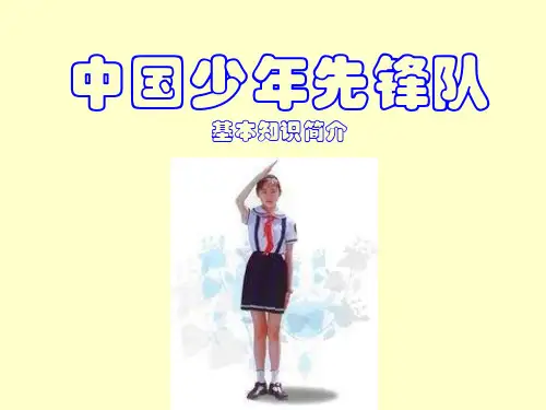 少先队知识简介