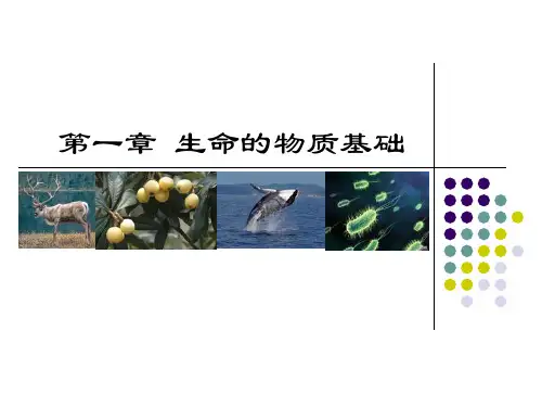 第一章生命的物质基础(1)