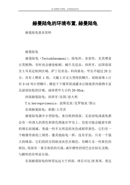 赫曼陆龟的环境布置,赫曼陆龟