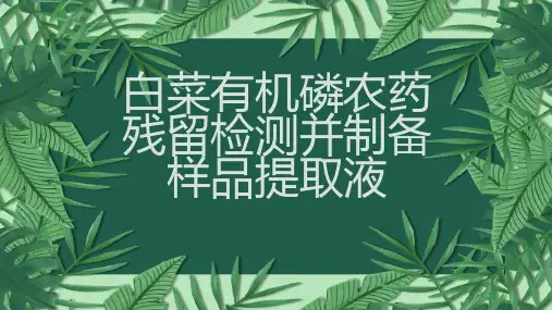 白菜有机磷农药残留检测并制备样品提取液