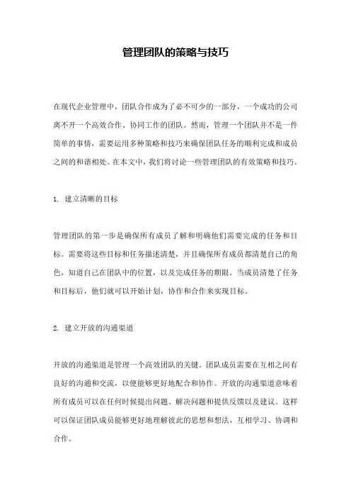 管理团队的策略与技巧