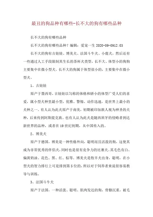 最丑的狗品种有哪些-长不大的狗有哪些品种