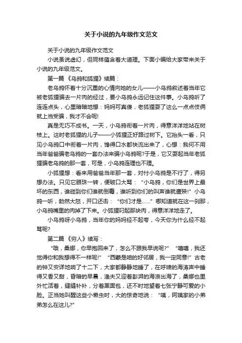 关于小说的九年级作文范文