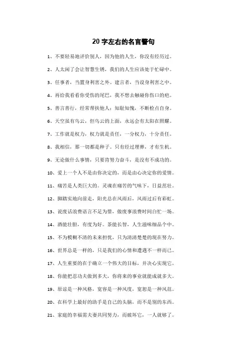 名言警句20字左右
