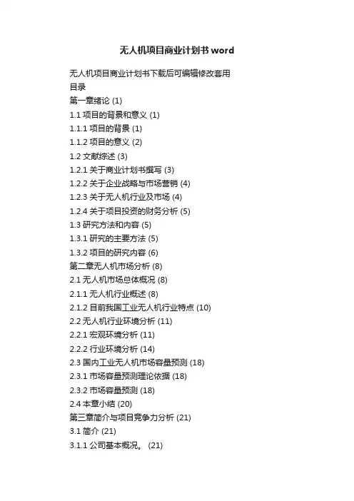 无人机项目商业计划书word
