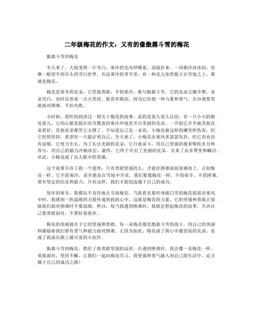 二年级梅花的作文：又有的像傲霜斗雪的梅花