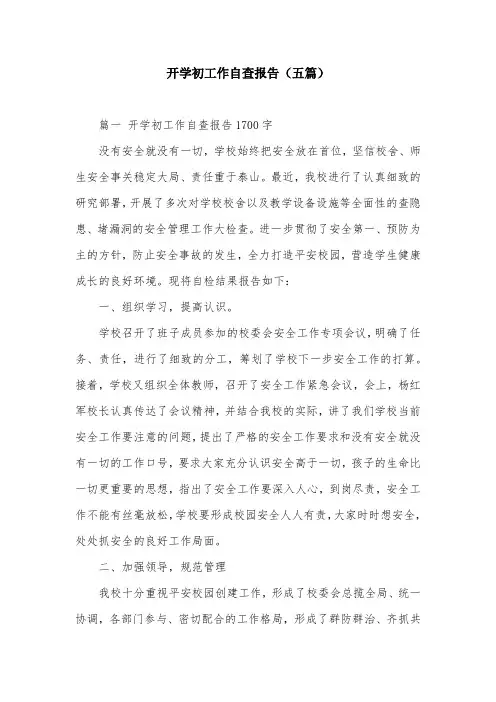 开学初工作自查报告(五篇)