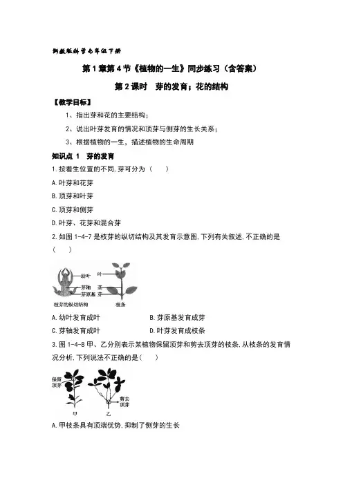 1.4植物的一生同步练习(第2课时)