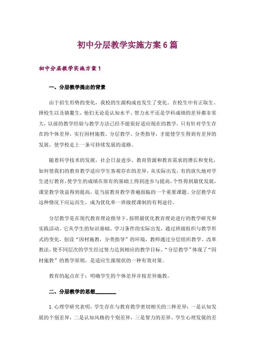 初中分层教学实施方案6篇