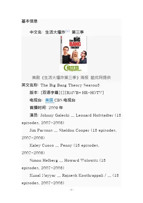 生活大爆炸第三季(美剧)