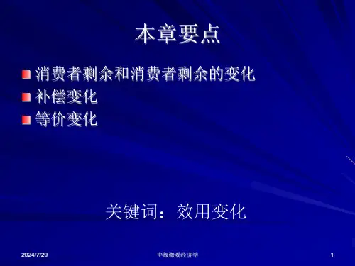 消费者剩余范里安课件