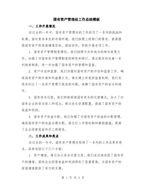 国有资产管理处工作总结模板