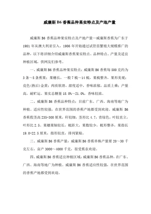 威廉斯B6香蕉品种果实特点及产地产量