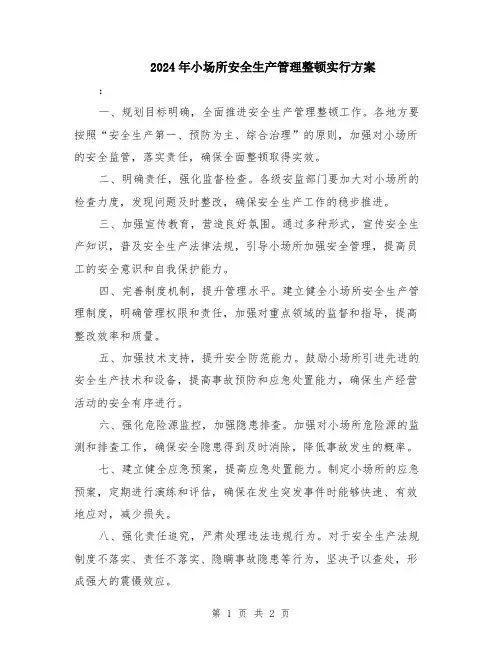 2024年小场所安全生产管理整顿实行方案