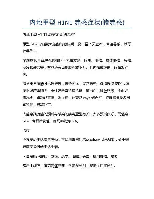 内地甲型H1N1流感症状(猪流感)