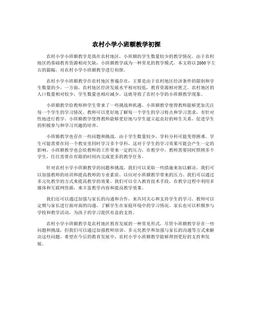农村小学小班额教学初探