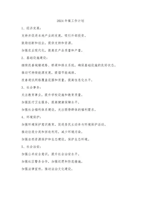 2024年镇工作计划
