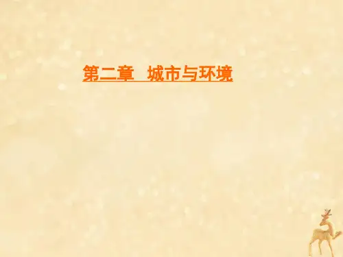 2019_2020学年高中地理第2章城市与环境第1节城市空间结构课件湘教版必修2