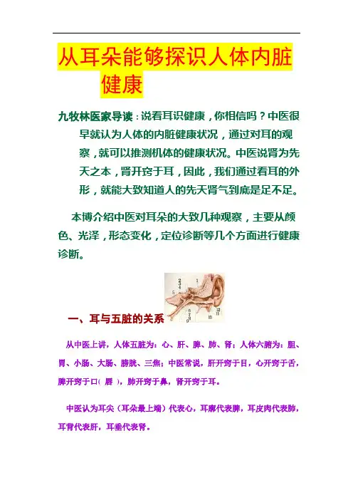 从耳朵能够探识人体内脏健康
