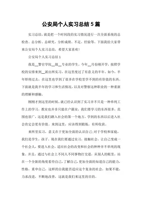 公安局个人实习总结5篇