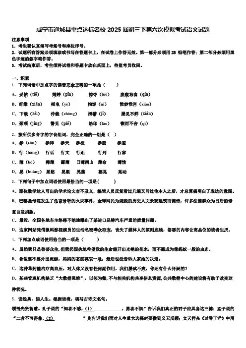 咸宁市通城县重点达标名校2025届初三下第六次模拟考试语文试题含解析