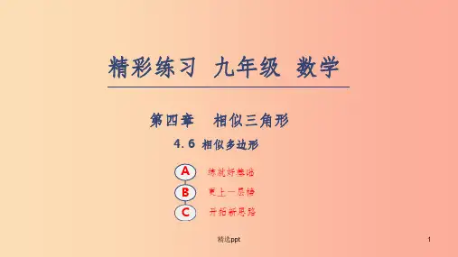 201X年秋九年级数学上册第四章相似三角形4.6相似多边形课件新版浙教版