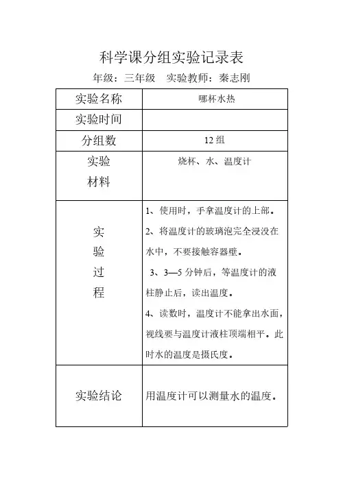 科学课分组尝试记录表