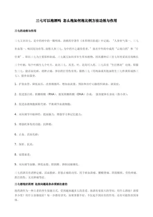 三七可以泡酒吗 怎么泡如何泡比例方法功效与作用