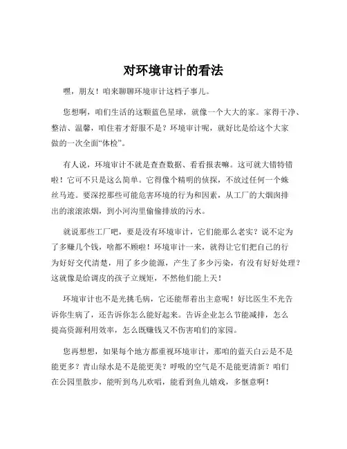 对环境审计的看法