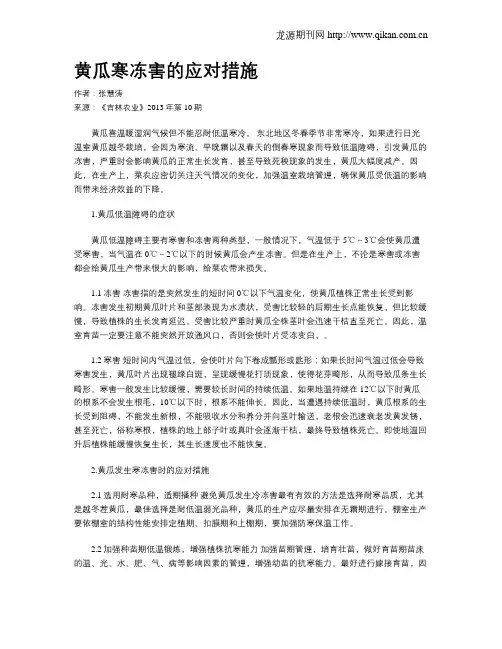 黄瓜寒冻害的应对措施