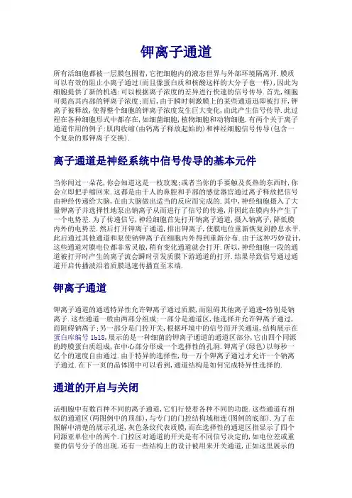 钾离子通道