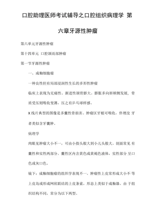 口腔助理医师考试辅导之口腔组织病理学第六章牙源性肿瘤
