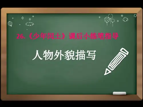 新-《少年闰土》外貌描写