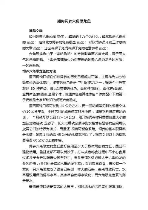 如何饲养六角恐龙鱼