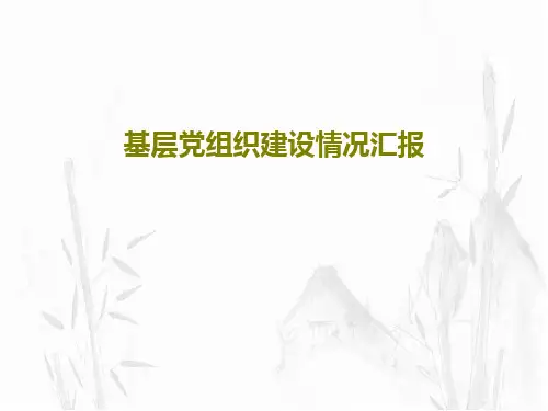 基层党组织建设情况汇报15页PPT