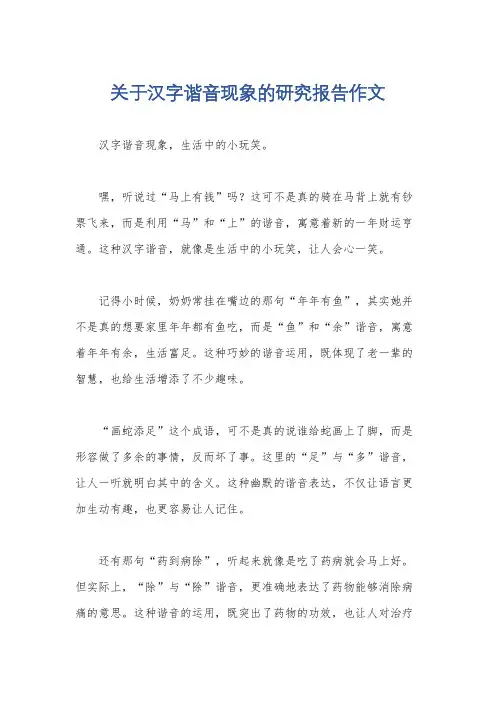 关于汉字谐音现象的研究报告作文