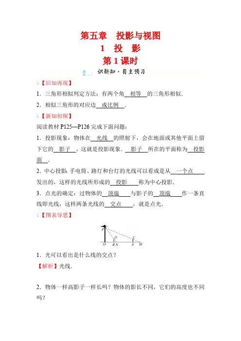 5.1 投影 第1课时 数学北师大版九年级上册学案