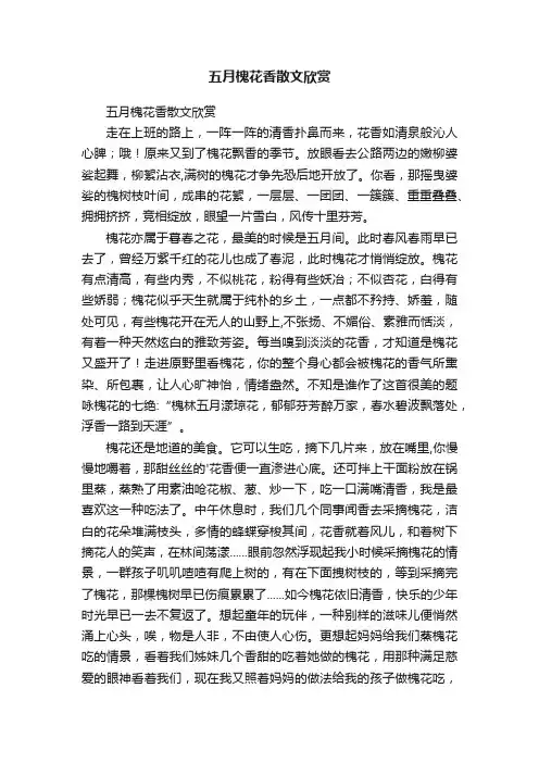 五月槐花香散文欣赏