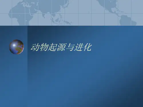 动物起源与进化