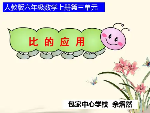 比的应用--PPT课件