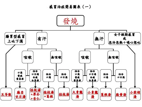 张孟超医师之【感冒治症简易图表·再修订版】