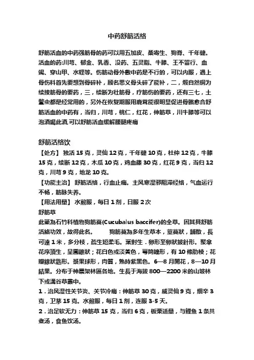中药舒筋活络