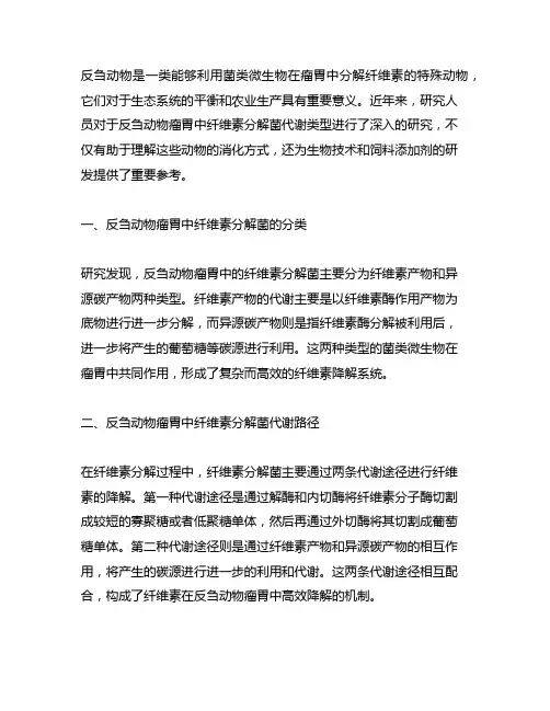 反刍动物瘤胃中纤维素分解菌代谢类型