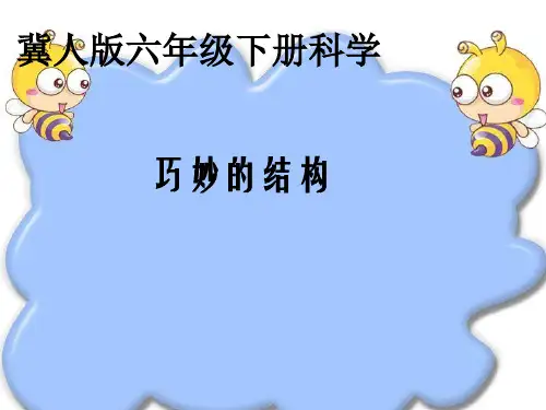 六年级科学下册课件-2巧妙的结构10-冀人版(共22张ppt)